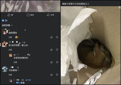 2萬人臉書社團驚見野生動物買賣貼文 飼主還罵稽查員害死松鼠