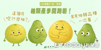 圖解「柚子5大品種」 農業部揭差異:紅文旦肉厚多汁