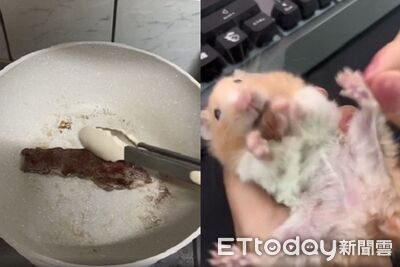 倉鼠吃迷你版「中秋烤肉」 高速咀嚼腳腳開心到劈腿