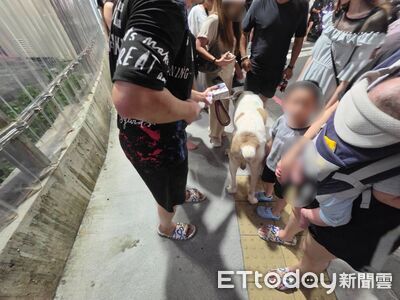 帶牧羊犬逛瑞豐夜市!母女嚇到逼道歉 目擊民眾怒:家教很重要