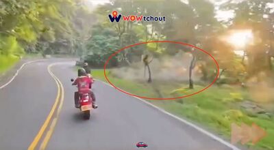 北宜重機跑山過彎失控!衝邊坡慘摔斷骨…後車驚喊:人掉哪了