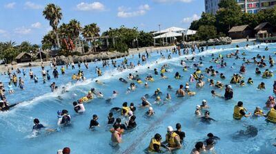 相驗結果曝!緬甸男來台依親...偕妻、友包車衝中部水樂園喪命