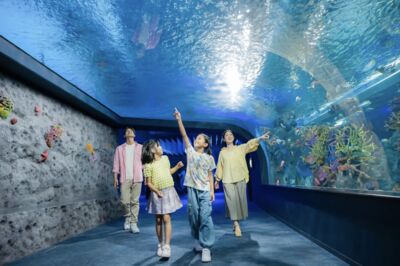 沖繩DMM水族館10/15起漲價!全票最高3500日圓 新增戶外區