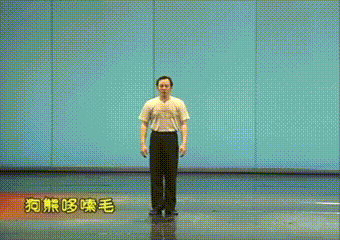 「狗熊哆嗦毛」接力閃身步爆紅 「魔性舞步」瘋傳!人人都在抖