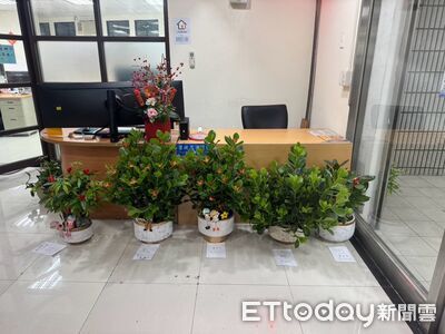 北市花店門口「5盆盆栽」失蹤　女賊落網喊：帶回家自己欣賞