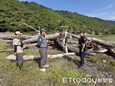 台東開放民眾撿拾漂流木 警方提醒注意產權及撿拾安全