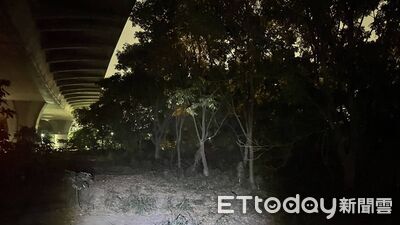 台中男跳車台74線摔落!跌10米高架橋 栽進草叢送醫不治