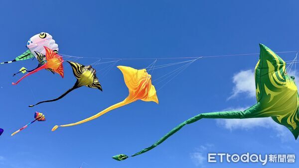 ▲台南吉祥物「菜奇鴨」首度化身大型造型風箏，將於10月10日至11日曾文風箏嘉年華亮相。（記者林東良翻攝，下同）