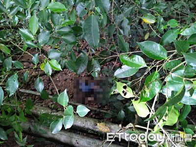快訊／基隆暖暖婦人失足「墜3m深邊坡」躺地　警消吊掛救援