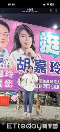 ▲捕抓綠鬛蜥、5公斤大咖。（圖／洪宗麒、胡嘉玲服務處提供）