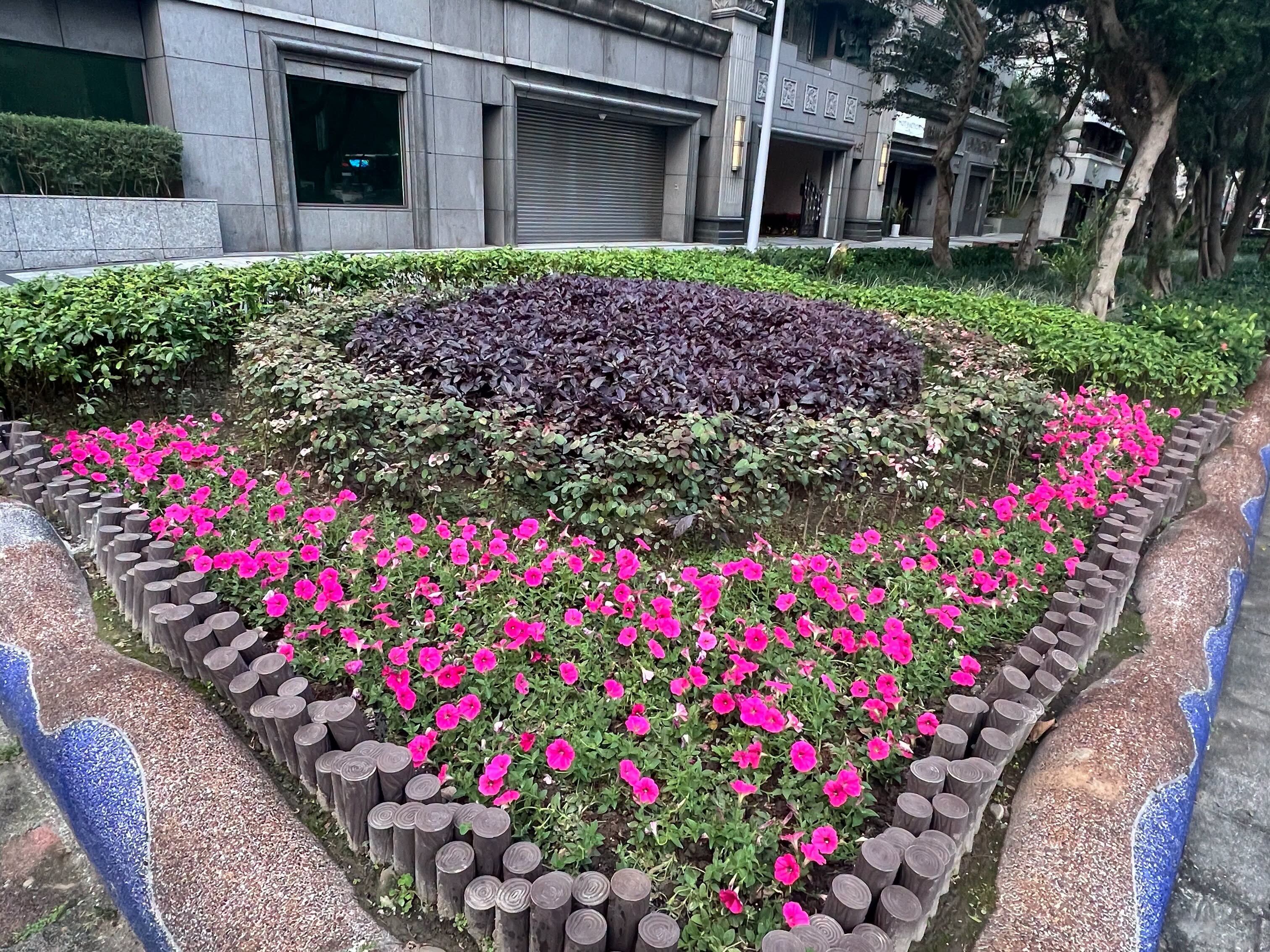 ▲▼仁愛路林蔭大道竟變成熊讚裝置藝術。（圖／翻攝臉書／高嘉瑜）