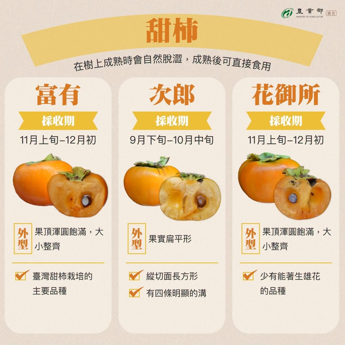 ▲▼農業部指柿子分成甜柿與澀柿，各有主要三大種類，並提供挑選甜柿的訣竅。（圖／農業部提供）