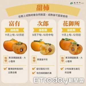 圖解「柿子6大品種」 農業部教挑選4訣竅:沒裂萼才好吃