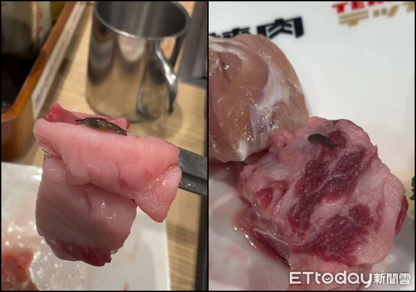 他北車吃燒肉驚見「蛞蝓在生肉上爬」 店員1回應讓他驚呆