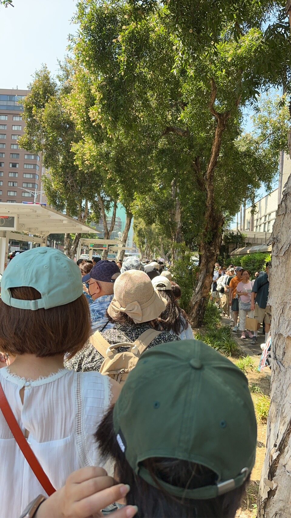 ▲▼民進黨台北市長參選人沈伯洋競選總部成立，在活動開始前，有許多粉絲自發性製作彩帶應援物發放，排隊隊伍從捷運善導寺1號出口到天津街轉彎。（圖／記者詹詠淇攝）