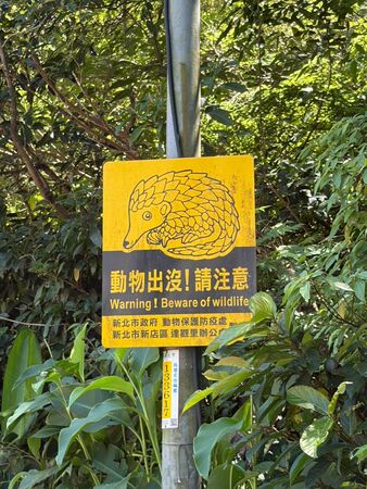 ▲開車遇野生動物有提醒 新北動保攜手導航王推數位警示。（圖／新北市動保處提供）
