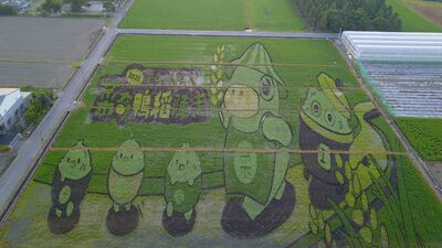 台南「菜奇鴨」巨型彩繪稻田10/9登場 連假再逛漁光島市集