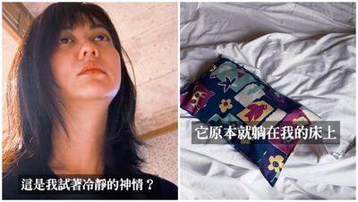 白癡公主「38年寶貝枕頭在飯店不見了」!絕望流淚:直接殺去洗床單工廠