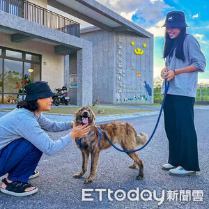 先相處再認養！花蓮推動體驗式送養　為毛孩找到真正的家