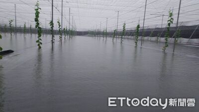 屏東豪雨農損救助先核撥3355萬　8鄉鎮1310萬已入帳