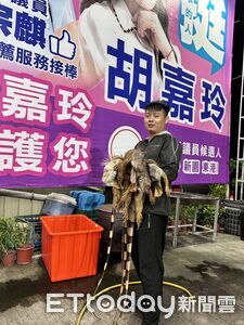 萬丹紅豆栽種期「獵龍大隊」出動！12人一夜抓255隻　驚人照片曝