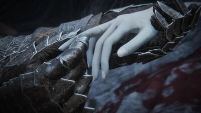 狂粉重金圓夢《艾爾登法環》婚禮　穿甲牽白紗妻子羨煞眾網