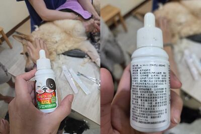 喝寵物展滴劑癱軟亡!飼主慟「打電話不接」 業者承諾負責