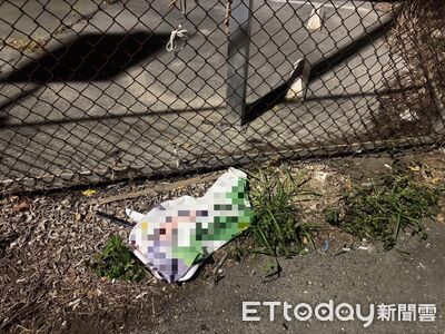 台東市選舉布條遭毀損　警掌握涉案男子通知到案