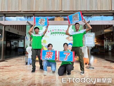 十萬灰面鵟鷹南下!滿州鷹群遮天 小墾丁邀親子賞「鷹空」