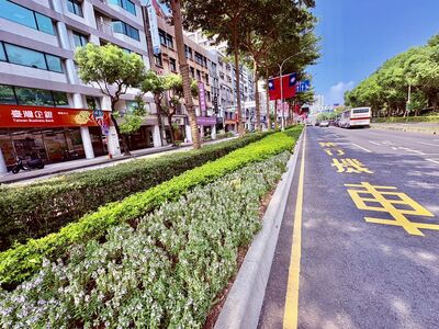 國慶晚會首度移師新北 彩植綠美學妝點板橋迎賓廊道