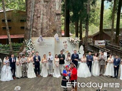 阿里山神木下婚禮邁入20週年 阿里山賓館打造一站式浪漫蜜月