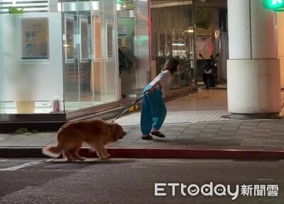 路上驚見「拒否阿金」 飼主拔河拉不動用盡全身力氣