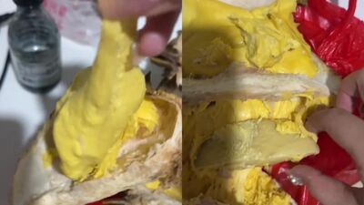 大陸驚傳「人造假榴槤」 剖開裡面竟是「馬鈴薯」