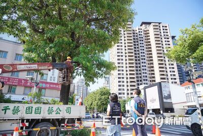 快訊／薔琵颱風逼近　台中晚間7點宣布明日是否停班課