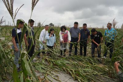 薔琵颱風釀1死616傷！全台農損破1.3億　雲林占8成最慘