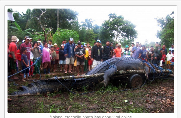 ▼菲律賓南部發現的巨型鱷魚「落龍」（Lolomg)，身長約6公尺，為現今發現最長的鱷魚。(圖／取自Global Voice）