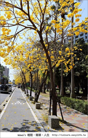 台南林森路風鈴木