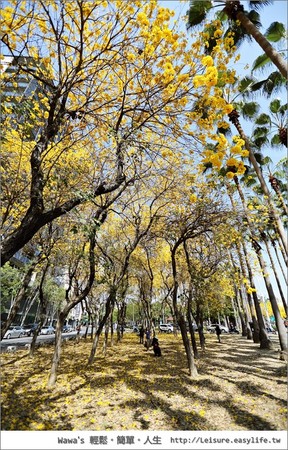 台南林森路風鈴木