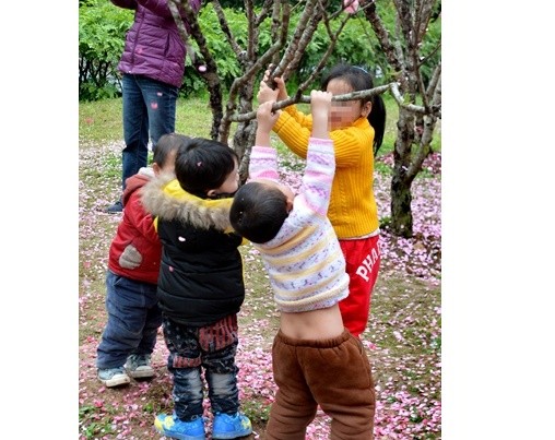 还让4名小孩有样学样,拼命摇晃树枝,甚至还有一名小孩将自己挂在树上